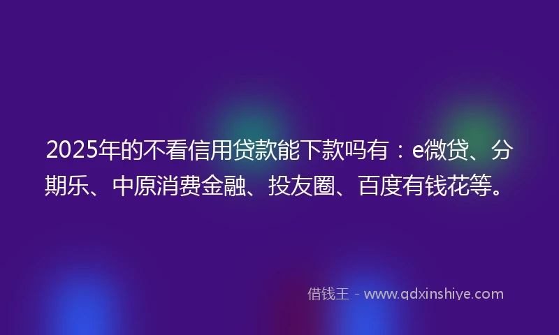 2025年的不看信用贷款能下款吗有：e微贷、分期乐、中原消费金融、投友圈、百度有钱花等。