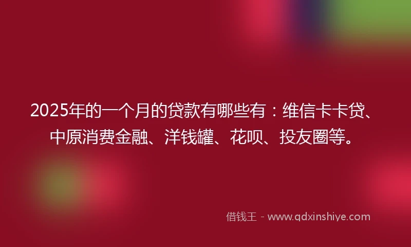 2025年的一个月的贷款有哪些有：维信卡卡贷、中原消费金融、洋钱罐、花呗、投友圈等。