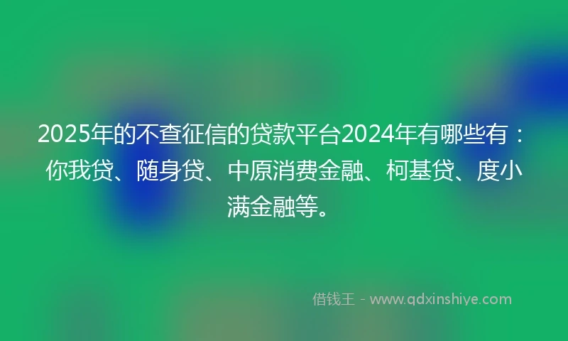 2025年的不查征信的贷款平台2024年有哪些有：你我贷、随身贷、中原消费金融、柯基贷、度小满金融等。
