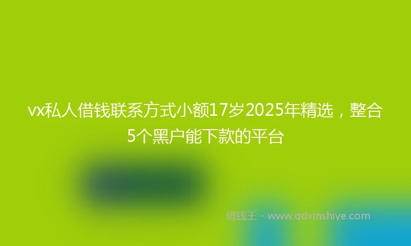 vx私人借钱联系方式小额17岁2025年精选，整合5个黑户能下款的平台