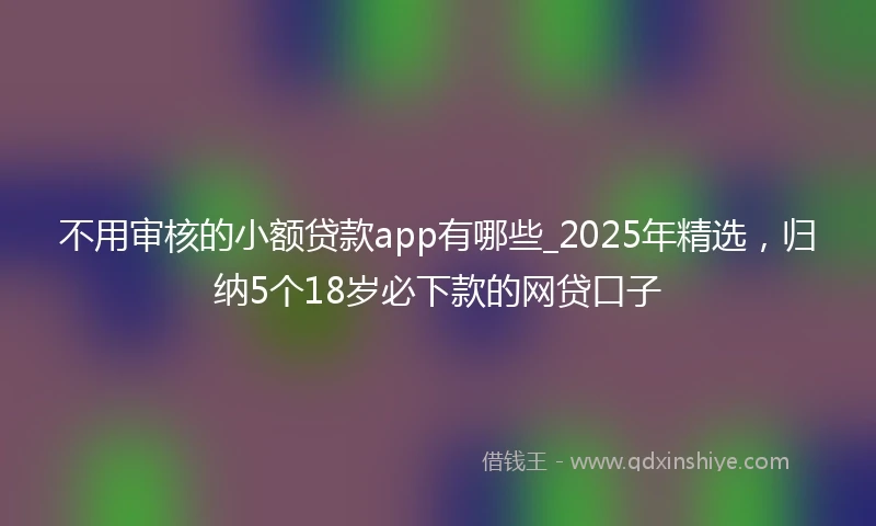 不用审核的小额贷款app有哪些_2025年精选，归纳5个18岁必下款的网贷口子