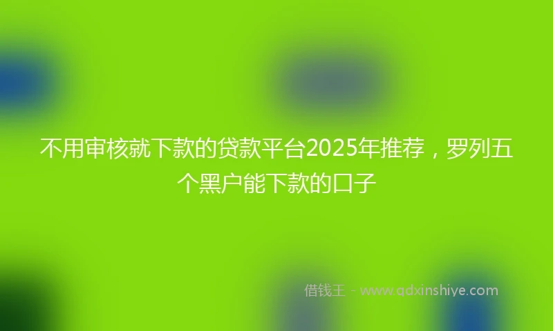 不用审核就下款的贷款平台2025年推荐，罗列五个黑户能下款的口子