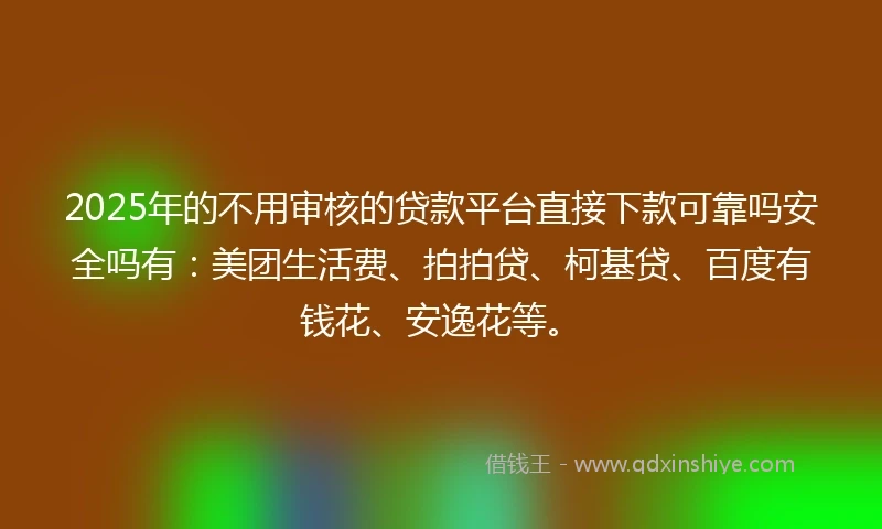 2025年的不用审核的贷款平台直接下款可靠吗安全吗有：美团生活费、拍拍贷、柯基贷、百度有钱花、安逸花等。