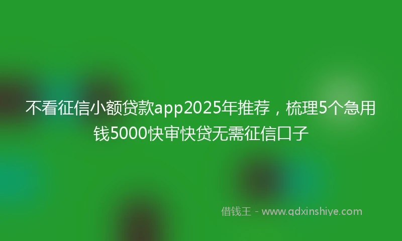 不看征信小额贷款app2025年推荐，梳理5个急用钱5000快审快贷无需征信口子