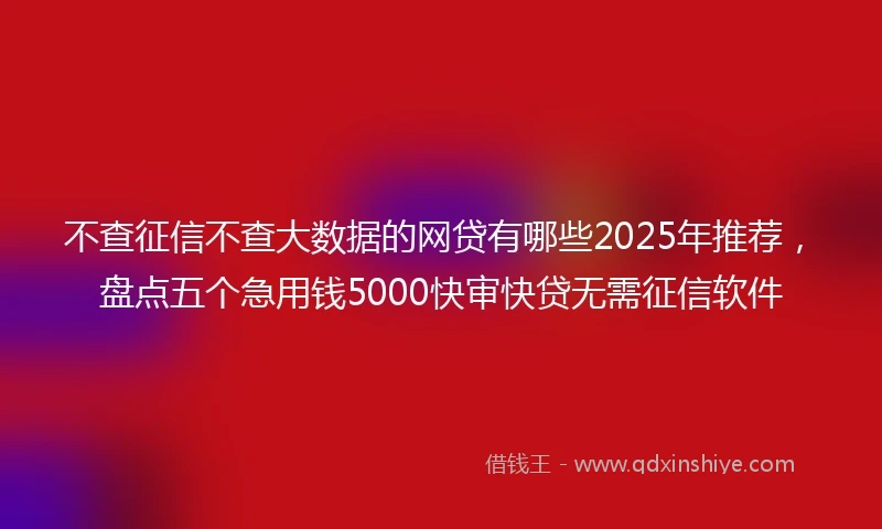 不查征信不查大数据的网贷有哪些2025年推荐，盘点五个急用钱5000快审快贷无需征信软件