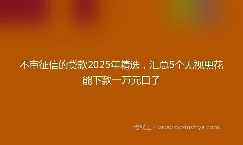 不审征信的贷款2025年精选，汇总5个无视黑花能下款一万元口子