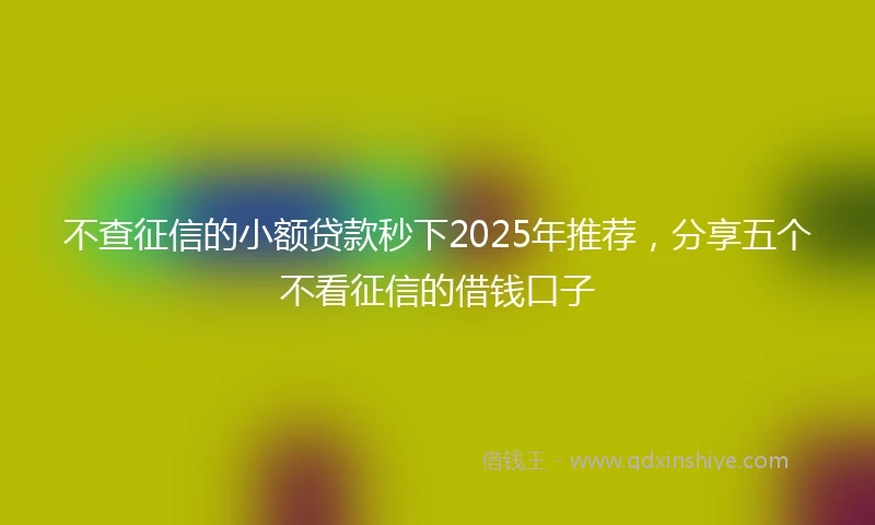 不查征信的小额贷款秒下2025年推荐，分享五个不看征信的借钱口子