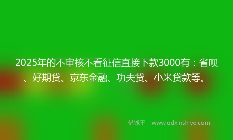 2025年的不审核不看征信直接下款3000有:省呗、好期贷、京东金融、功夫贷、小米贷款等。