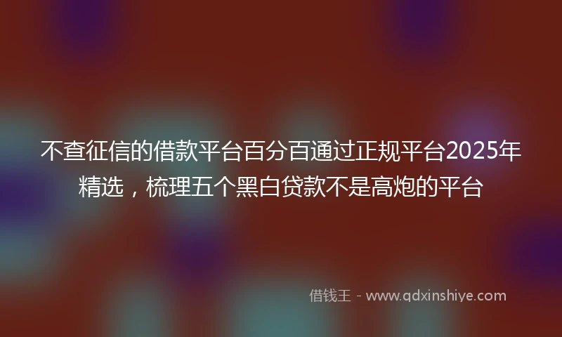 不查征信的借款平台百分百通过正规平台2025年精选，梳理五个黑白贷款不是高炮的平台