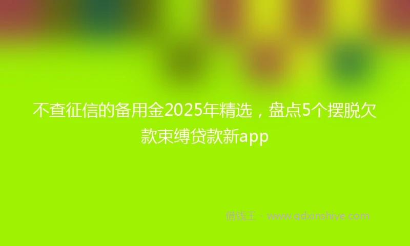 不查征信的备用金2025年精选，盘点5个摆脱欠款束缚贷款新app