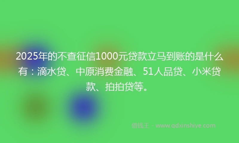 2025年的不查征信1000元贷款立马到账的是什么有：滴水贷、中原消费金融、51人品贷、小米贷款、拍拍贷等。