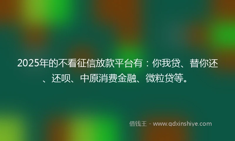 2025年的不看征信放款平台有：你我贷、替你还、还呗、中原消费金融、微粒贷等。
