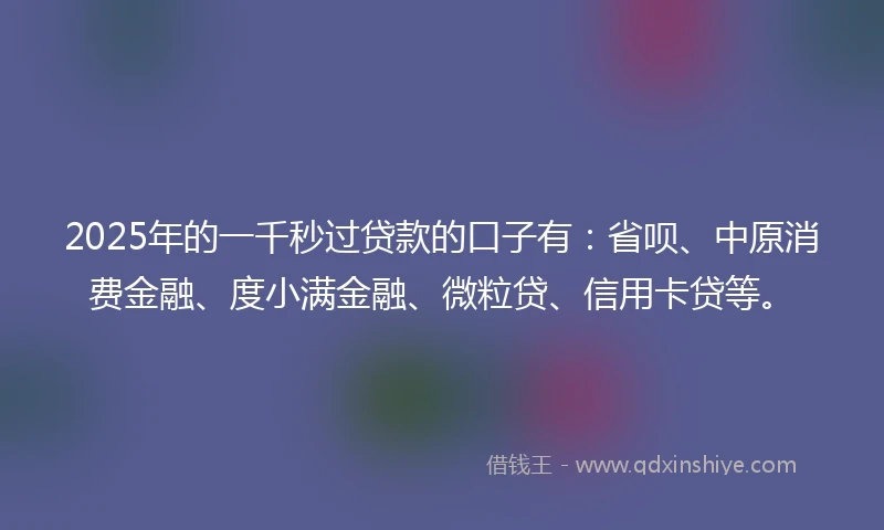 2025年的一千秒过贷款的口子有：省呗、中原消费金融、度小满金融、微粒贷、信用卡贷等。