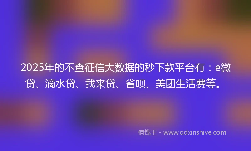 2025年的不查征信大数据的秒下款平台有：e微贷、滴水贷、我来贷、省呗、美团生活费等。