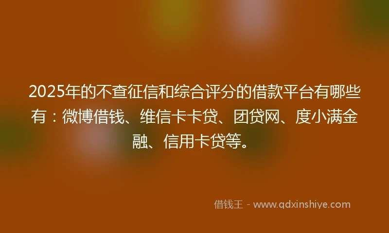 2025年的不查征信和综合评分的借款平台有哪些有：微博借钱、维信卡卡贷、团贷网、度小满金融、信用卡贷等。