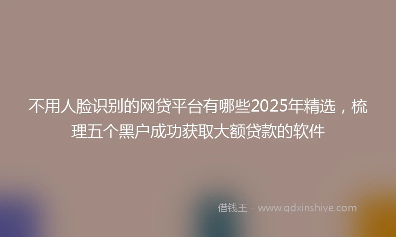 不用人脸识别的网贷平台有哪些2025年精选，梳理五个黑户成功获取大额贷款的软件