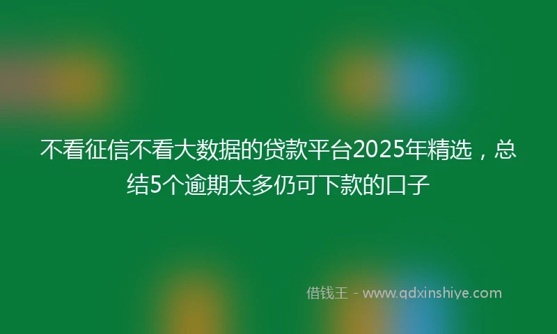 不看征信不看大数据的贷款平台2025年精选，总结5个逾期太多仍可下款的口子
