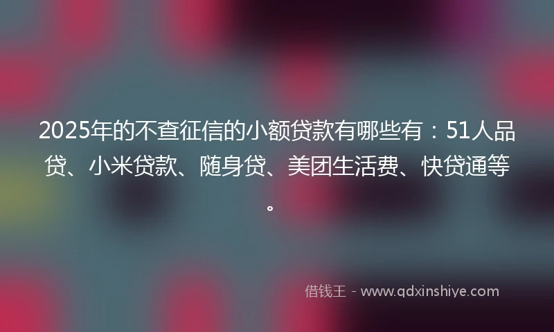 2025年的不查征信的小额贷款有哪些有：51人品贷、小米贷款、随身贷、美团生活费、快贷通等。