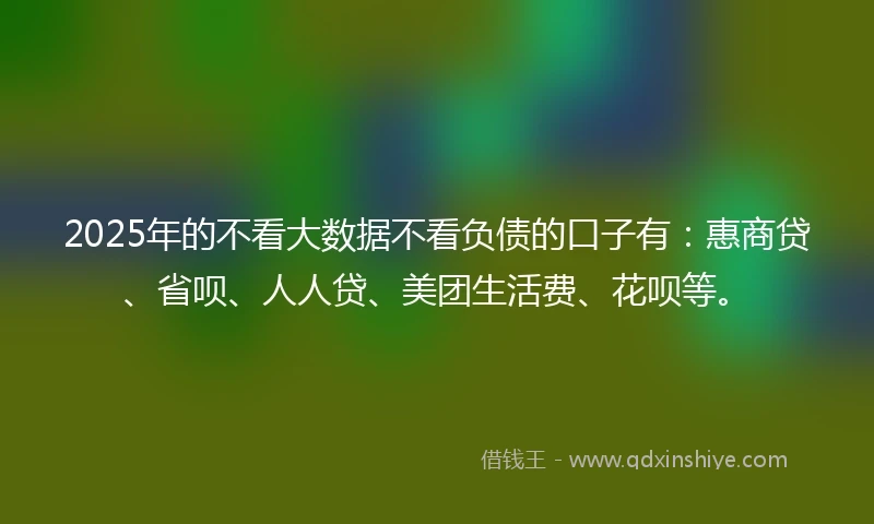 2025年的不看大数据不看负债的口子有：惠商贷、省呗、人人贷、美团生活费、花呗等。