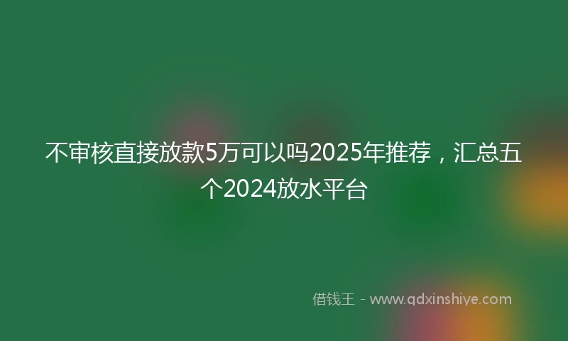 不审核直接放款5万可以吗2025年推荐，汇总五个2024放水平台