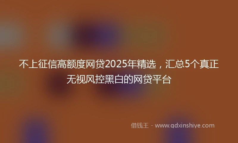 不上征信高额度网贷2025年精选，汇总5个真正无视风控黑白的网贷平台