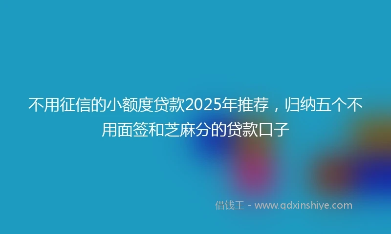 不用征信的小额度贷款2025年推荐，归纳五个不用面签和芝麻分的贷款口子