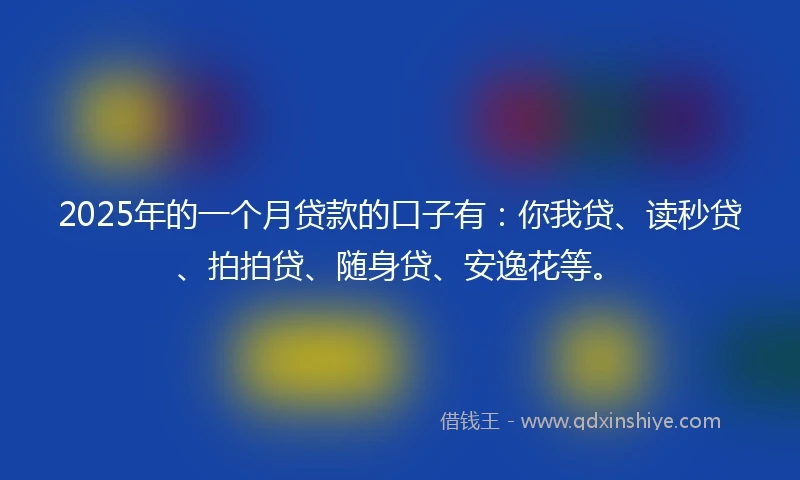 2025年的一个月贷款的口子有：你我贷、读秒贷、拍拍贷、随身贷、安逸花等。