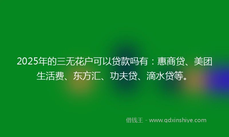 2025年的三无花户可以贷款吗有：惠商贷、美团生活费、东方汇、功夫贷、滴水贷等。