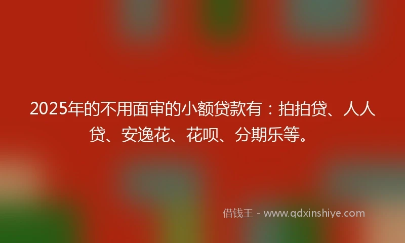 2025年的不用面审的小额贷款有：拍拍贷、人人贷、安逸花、花呗、分期乐等。