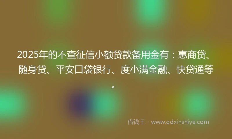 2025年的不查征信小额贷款备用金有：惠商贷、随身贷、平安口袋银行、度小满金融、快贷通等。