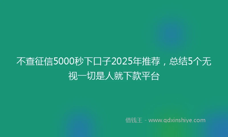 不查征信5000秒下口子2025年推荐，总结5个无视一切是人就下款平台