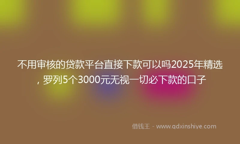 不用审核的贷款平台直接下款可以吗2025年精选，罗列5个3000元无视一切必下款的口子