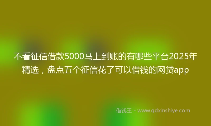 不看征信借款5000马上到账的有哪些平台2025年精选，盘点五个征信花了可以借钱的网贷app