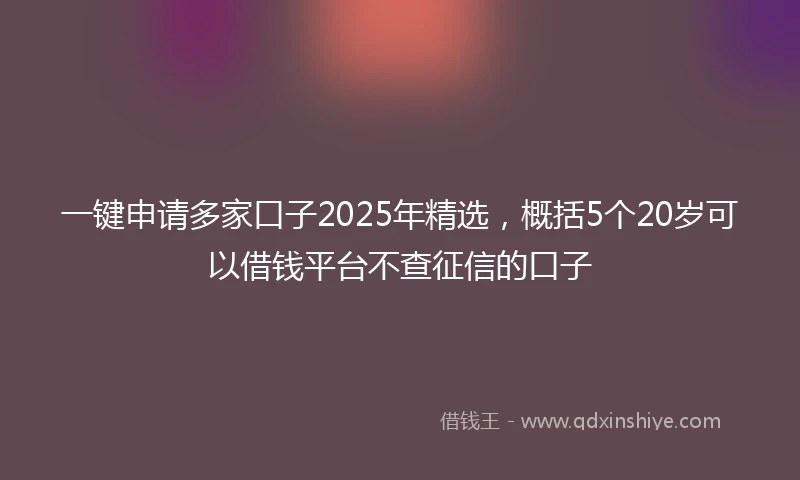 一键申请多家口子2025年精选，概括5个20岁可以借钱平台不查征信的口子