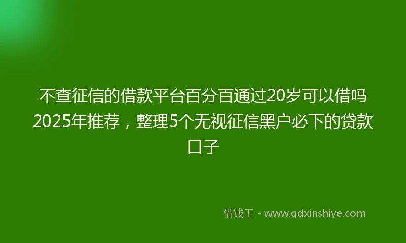 不查征信的借款平台百分百通过20岁可以借吗2025年推荐，整理5个无视征信黑户必下的贷款口子