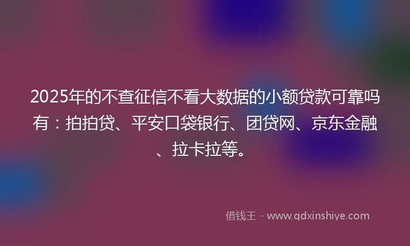2025年的不查征信不看大数据的小额贷款可靠吗有：拍拍贷、平安口袋银行、团贷网、京东金融、拉卡拉等。