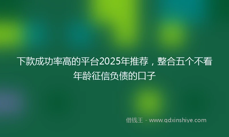 下款成功率高的平台2025年推荐，整合五个不看年龄征信负债的口子