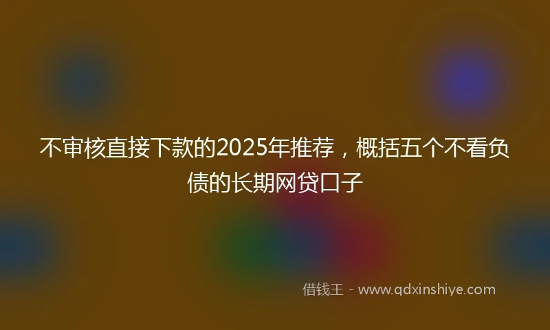 不审核直接下款的2025年推荐，概括五个不看负债的长期网贷口子