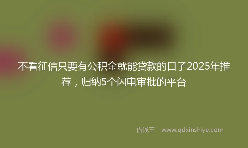 不看征信只要有公积金就能贷款的口子2025年推荐，归纳5个闪电审批的平台