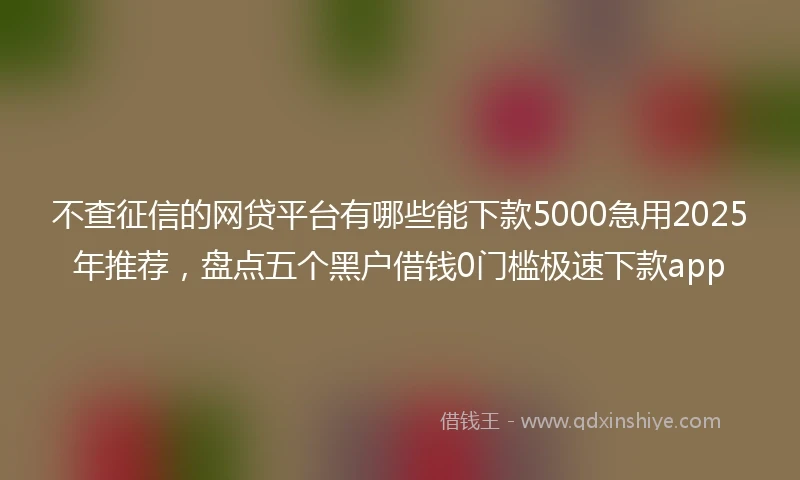 不查征信的网贷平台有哪些能下款5000急用2025年推荐，盘点五个黑户借钱0门槛极速下款app