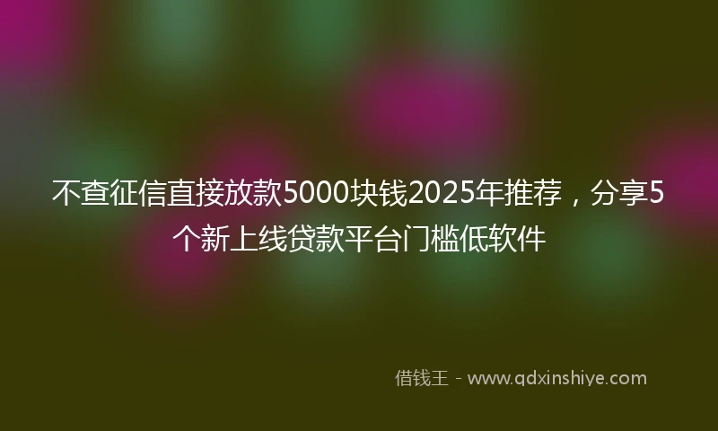 不查征信直接放款5000块钱2025年推荐，分享5个新上线贷款平台门槛低软件