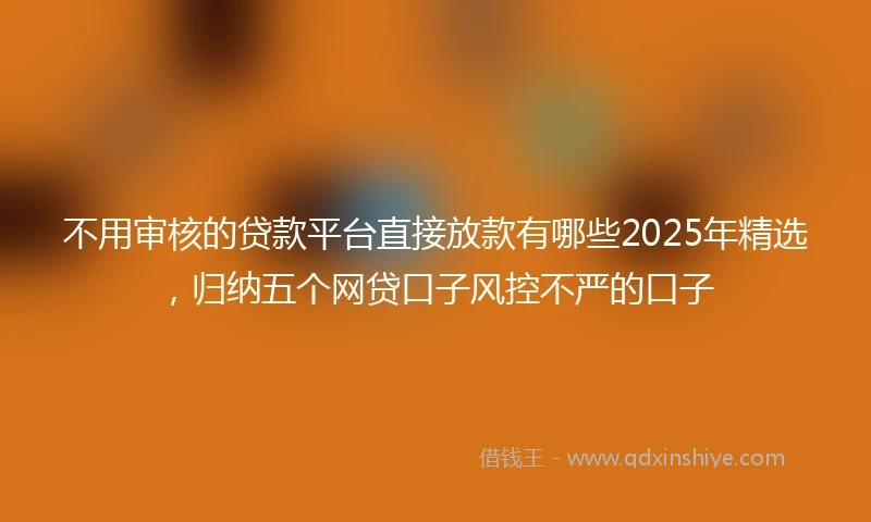 不用审核的贷款平台直接放款有哪些2025年精选，归纳五个网贷口子风控不严的口子