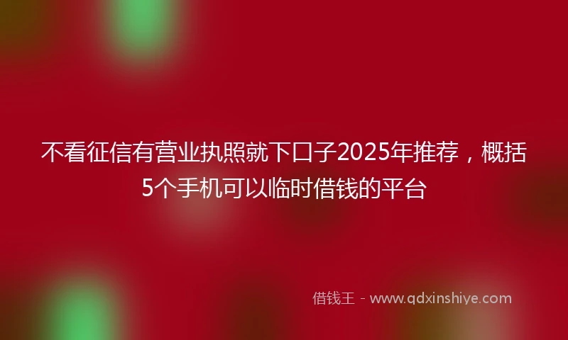 不看征信有营业执照就下口子2025年推荐，概括5个手机可以临时借钱的平台
