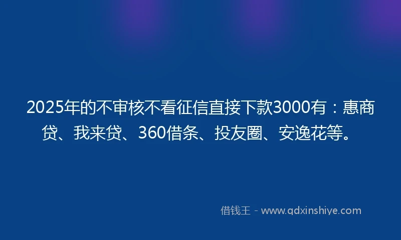 2025年的不审核不看征信直接下款3000有：惠商贷、我来贷、360借条、投友圈、安逸花等。