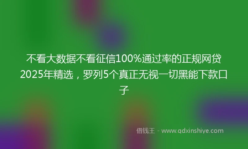 不看大数据不看征信100%通过率的正规网贷2025年精选，罗列5个真正无视一切黑能下款口子