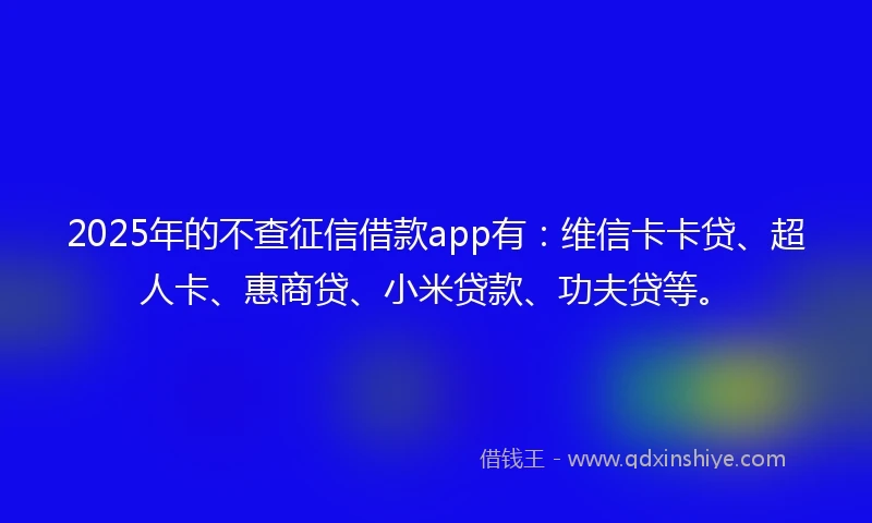 2025年的不查征信借款app有：维信卡卡贷、超人卡、惠商贷、小米贷款、功夫贷等。