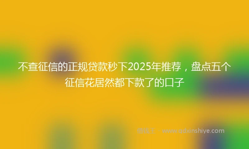 不查征信的正规贷款秒下2025年推荐，盘点五个征信花居然都下款了的口子