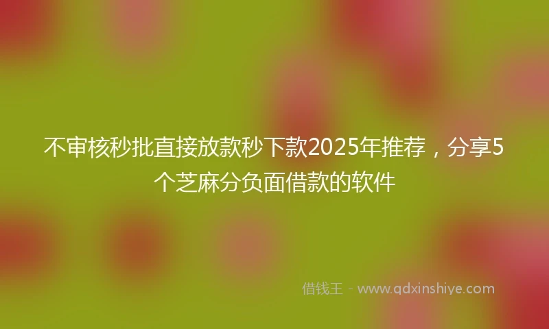 不审核秒批直接放款秒下款2025年推荐，分享5个芝麻分负面借款的软件