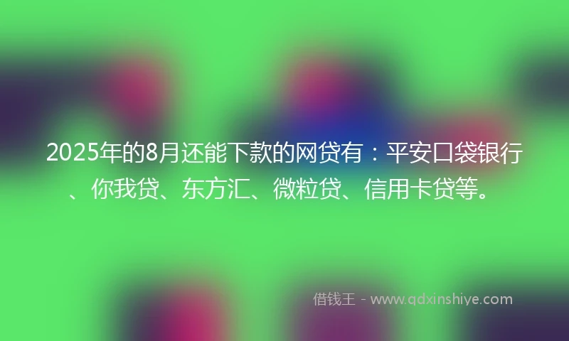 2025年的8月还能下款的网贷有：平安口袋银行、你我贷、东方汇、微粒贷、信用卡贷等。