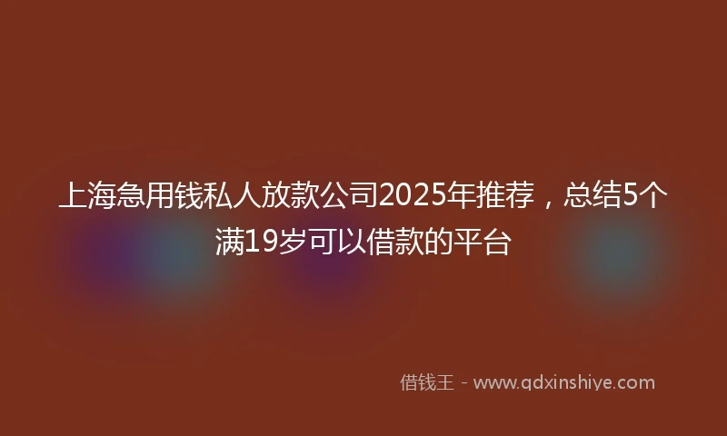 上海急用钱私人放款公司2025年推荐，总结5个满19岁可以借款的平台